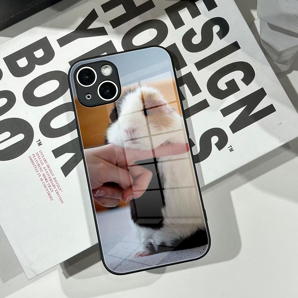 INS Creative Kawaii rabbit Pho - Phone Cases Kawaii recensie en prijs
