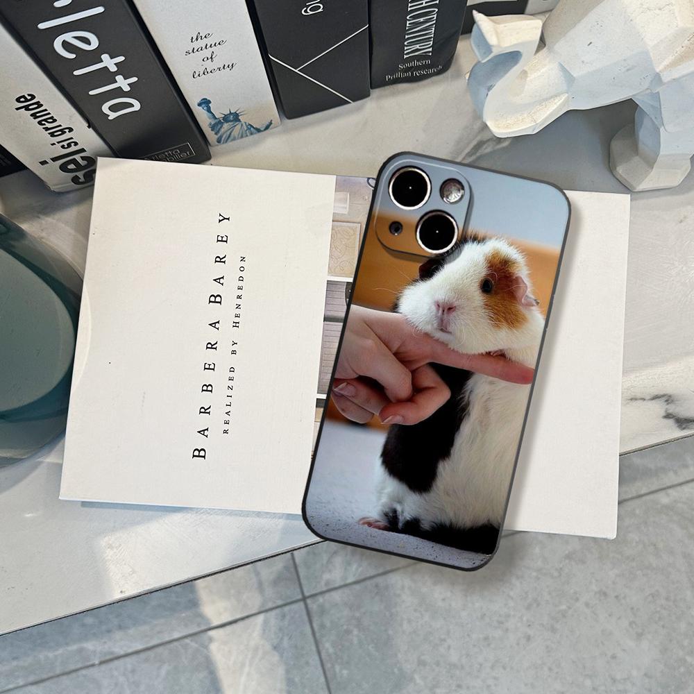 INS Creative Kawaii rabbit Pho - Phone Cases Kawaii recensie en prijs